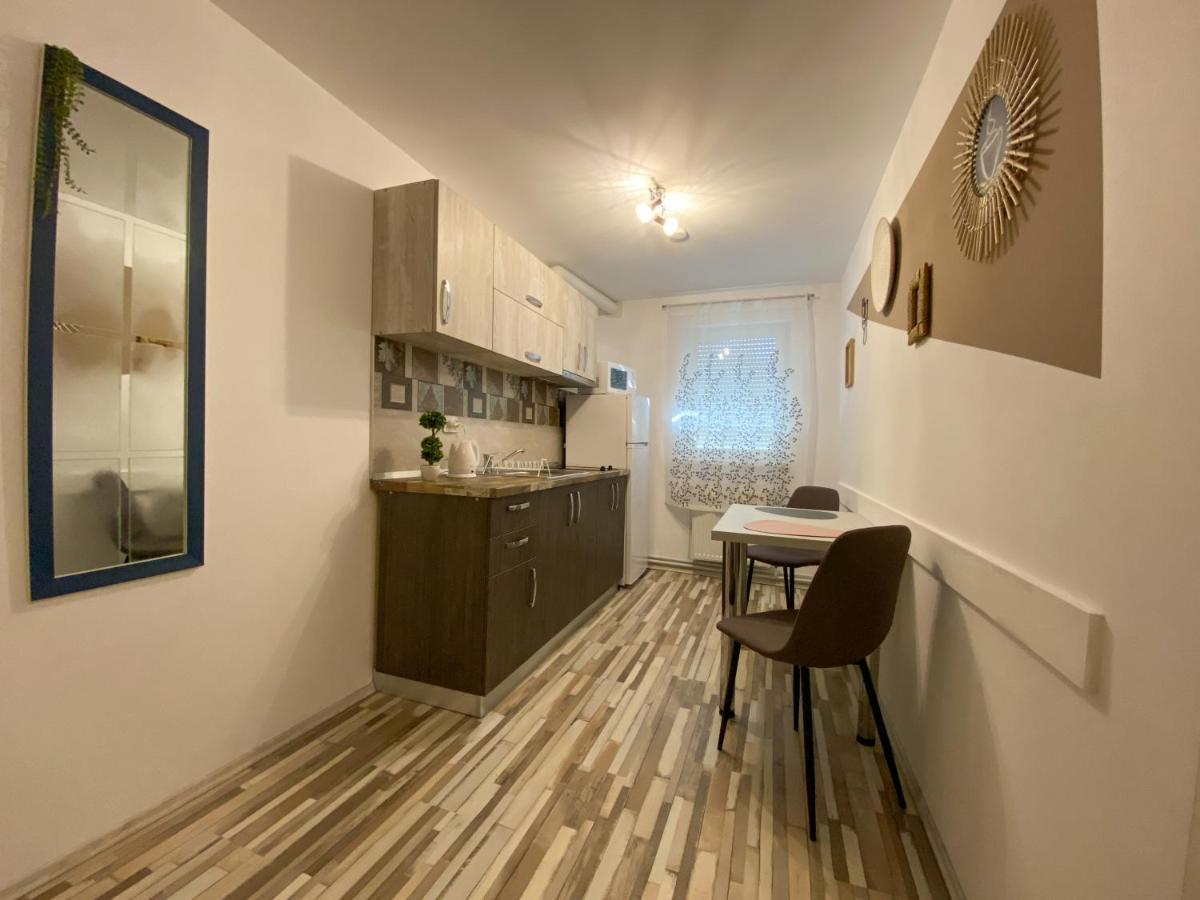 Blue Dream Apartment Timişoara Exterior foto